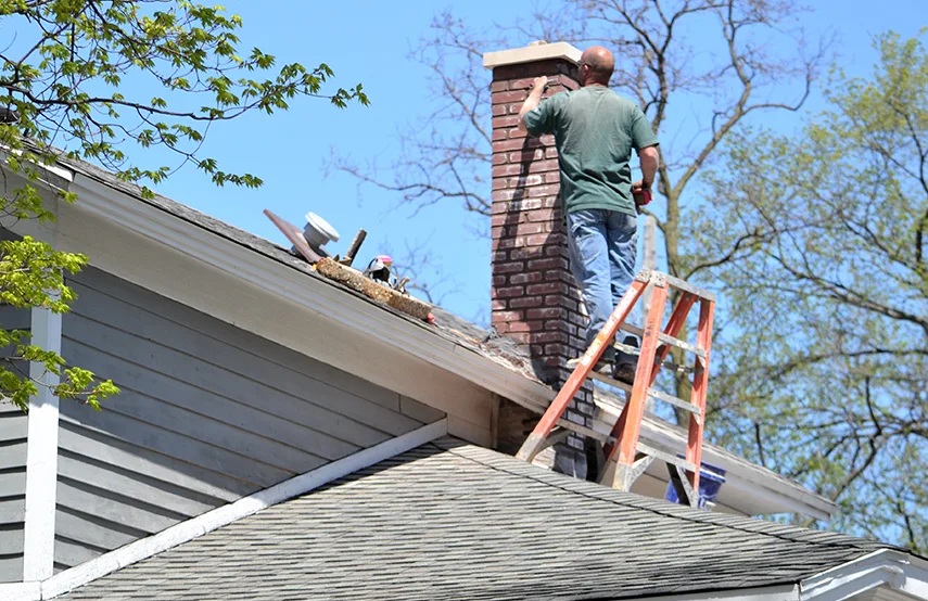 Chimney & Fireplace Inspections Services in Johnson City, TN